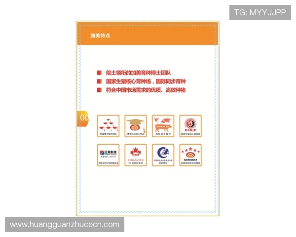 如何安全高效地使用马会投注客户端进行赛事投注与资金管理